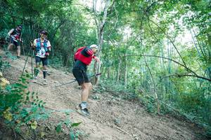 BIB: 
                            <button type="button" onclick="openModal(28161097)" class="btn btn-primary btn-sm float-right btn-popup" data-toggle="modal" data-target=".modal-high-quality">
                        <i class="fas fa-shopping-cart"></i> Add to Cart
                    </button>
                                            <button type="button" onclick="isThisMe(28161097, true)" class="btn btn-success btn-sm float-right btn-popup btn-isme hidden" data-toggle="tooltip" data-placement="bottom" title="นี่คือรูปของคุณใช่ไหม คลิกที่นี่เพื่อเอาเข้าอัลบั้ม">
                        <i class="fas fa-plus"></i> Add to album
                    </button>
                    <button type="button" onclick="isThisMe(28161097, false)" class="btn btn-warning btn-sm float-right btn-popup btn-isnotme hidden">
                        <i class="fas fa-ban"></i> Remove from album
                    </button>